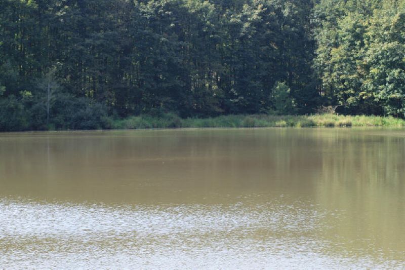 Der Hubbacherweiher